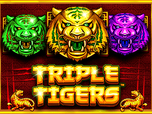 Triple Tigers icon