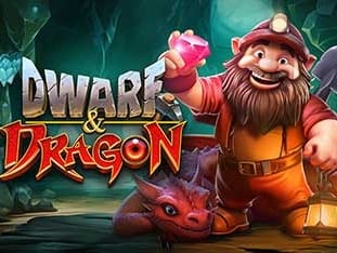 Dwarf & Dragon icon