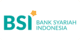 BSI Fast Logo